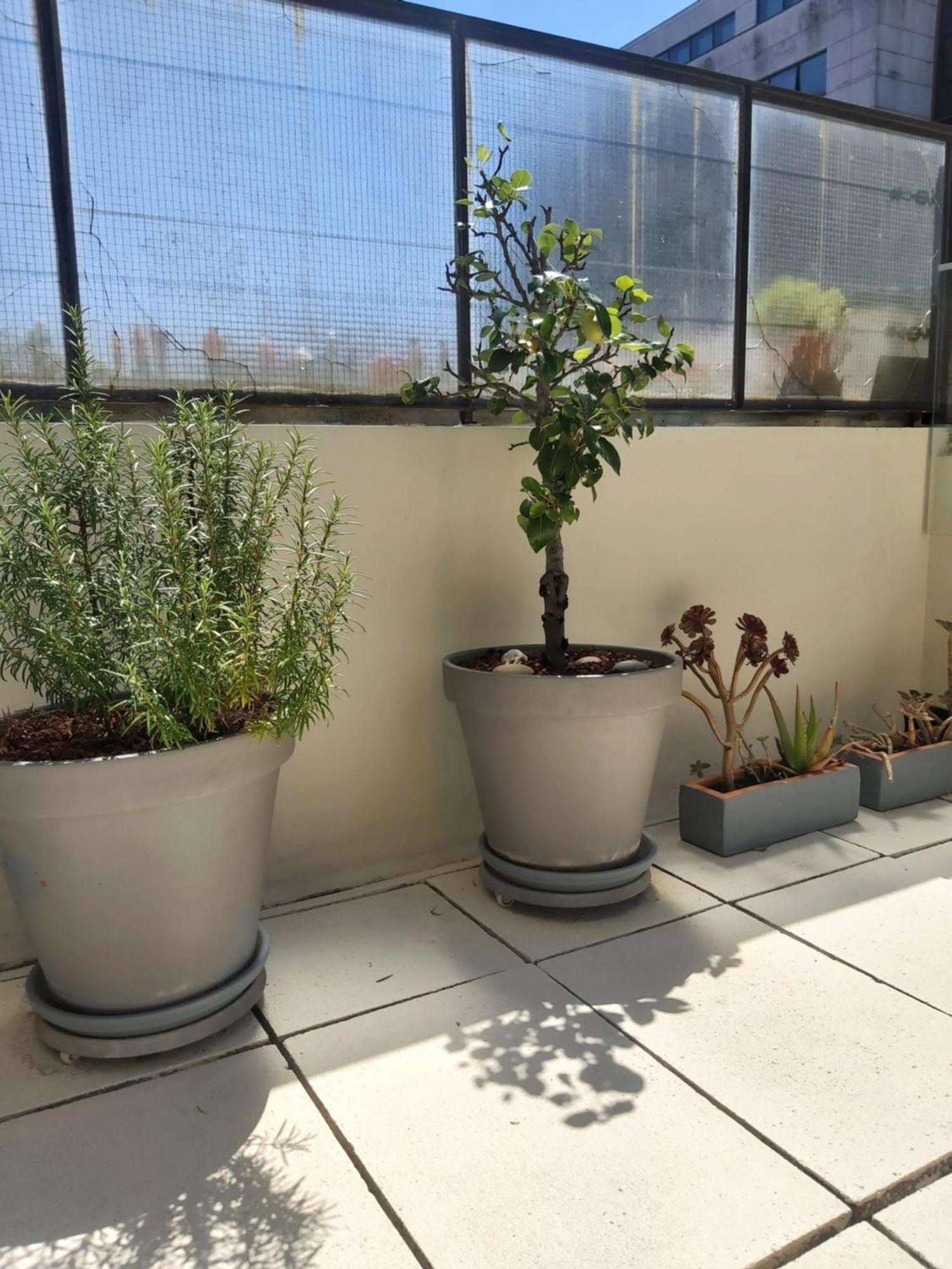 Porto Terrace Apartment מראה חיצוני תמונה