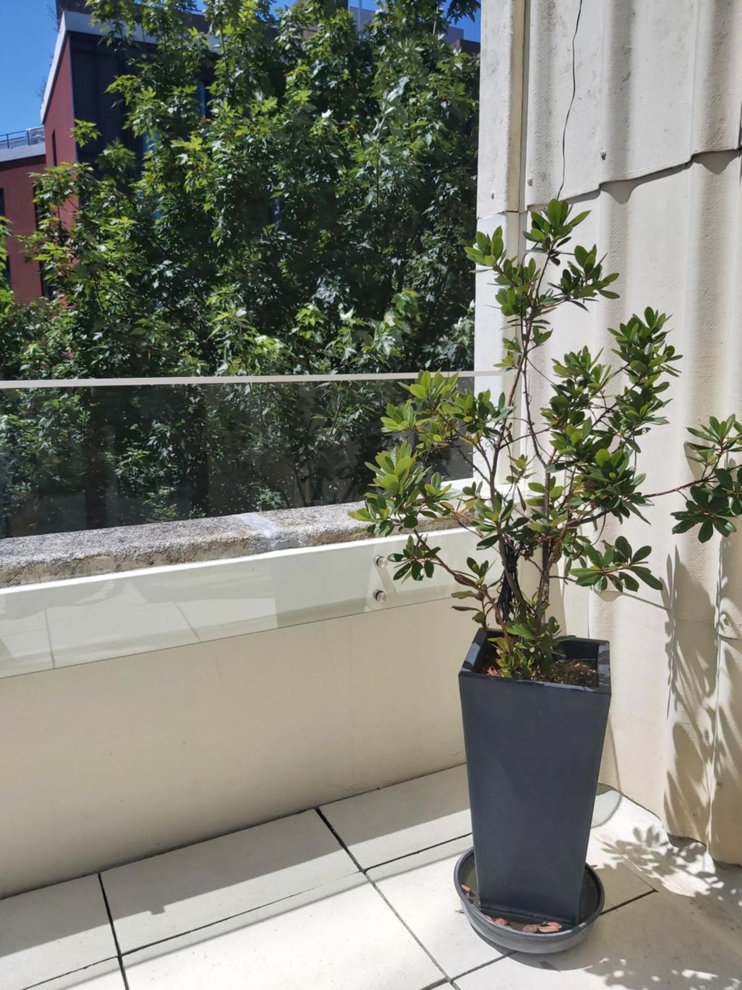 Porto Terrace Apartment מראה חיצוני תמונה